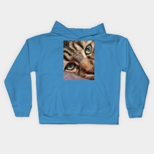 Ignatz, The Maine Coon Kitten Kids Hoodie